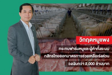 กสิกรไทย ออกมาตรการช่วยเหลือฟาร์มหมู และผู้ค้าทั้งระบบเร่งด่วน วงเงินกว่า 2,000 ล้านบาท