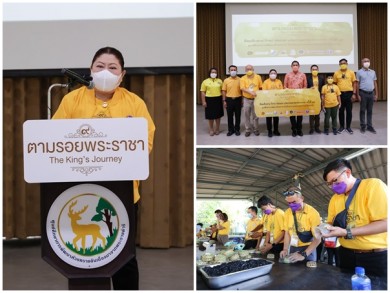 ทิพยประกันภัย ชวนสังคมขยายผลปรับวิถีชีวิตสู่สมดุลด้วยนวัตกรรมศาสตร์พระราชา ครั้งที่ 15