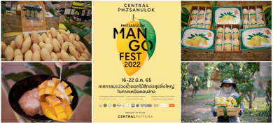 ‘Phitsanulok Mango Fest 2022’ ณ เซ็นทรัล พิษณุโลก ระหว่าง16-22 มี.ค.นี้