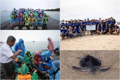 กรุงไทย–แอกซ่า ประกันชีวิต จัดกิจกรรม ‘KTAXA Save Our Sea’