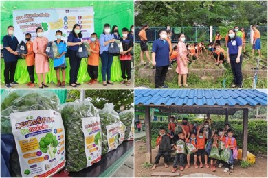 วิริยะประกันภัย ส่งเสริมสุขภาพดีผ่าน “ผักวอเตอร์เครส” ให้แก่ชุมชนและโรงเรียนบ้านคลองจันลา จ.ชัยภูมิ