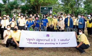 กรุงไทย–แอกซ่า ประกันชีวิต บรรลุเป้าหมายใหญ่ ปลูกต้นไม้ครบ 100,000 ต้น