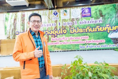 คปภ. เปิดตัว “ประกันภัยสวนยางพารา” นำร่องให้เกษตรกรสวนยางจังหวัดชุมพร